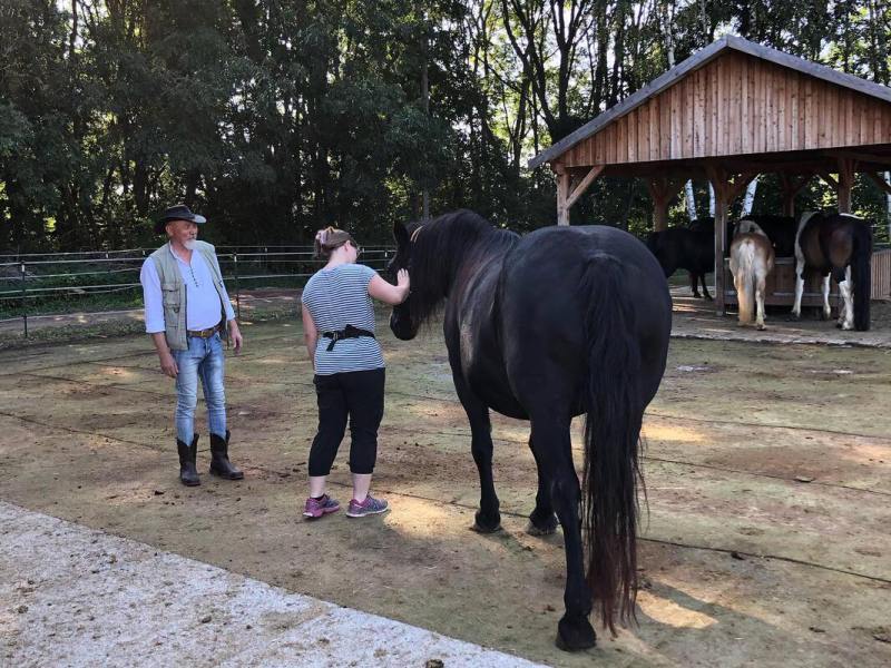 Gerhard Jes Krebs Germany, HorseDream Founder, EAHAE President, The First Encounter