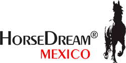 HorseDream Mexico