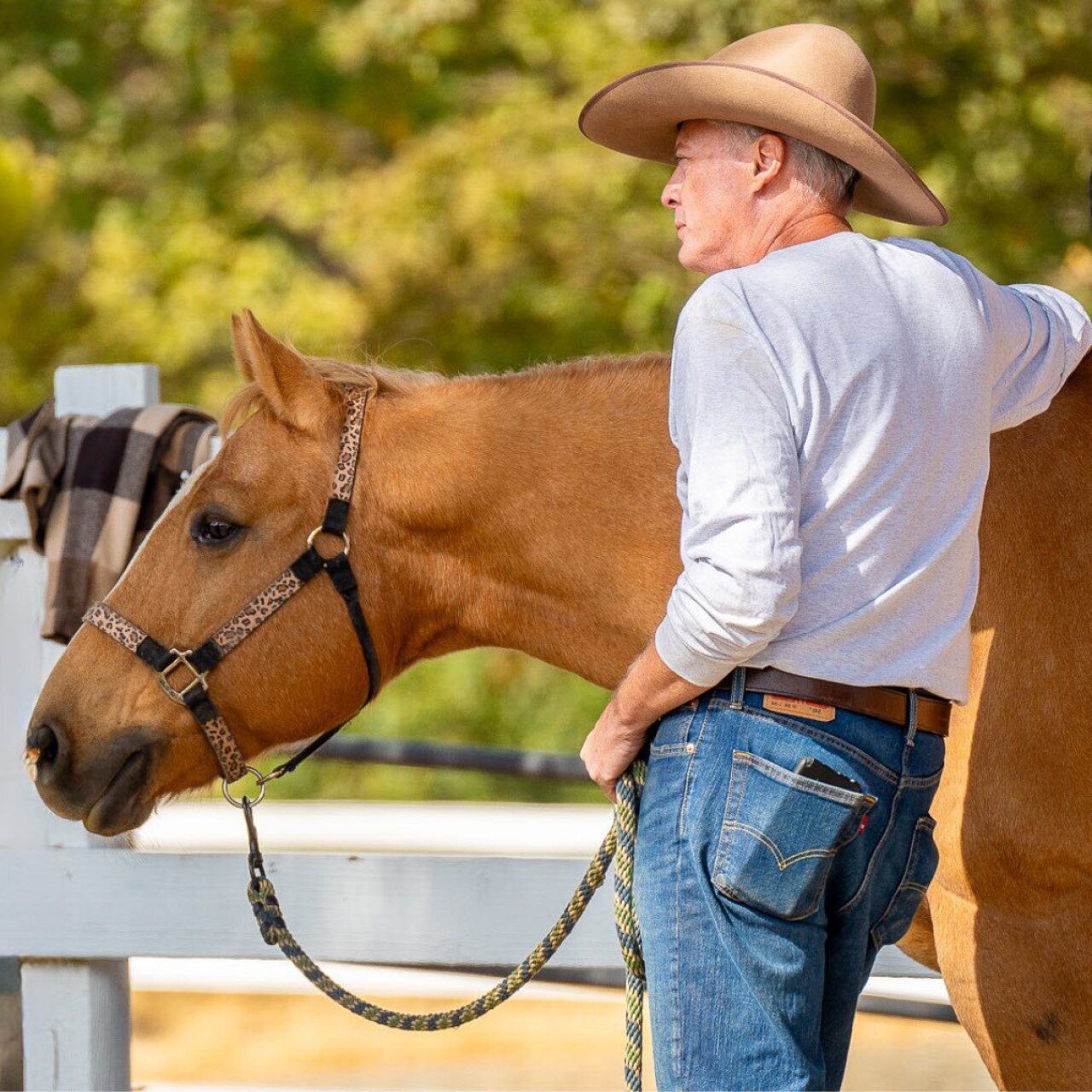 Robert Wysocki, Rocky Mountain Horse Dream