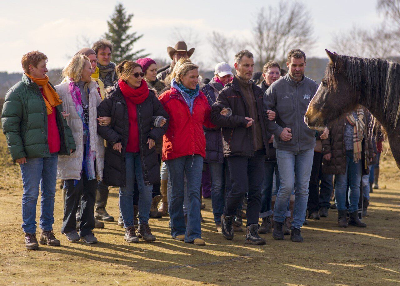 Horse-assisted education. Personal Development with Horses. 300 Trainers and Coaches Worldwide.