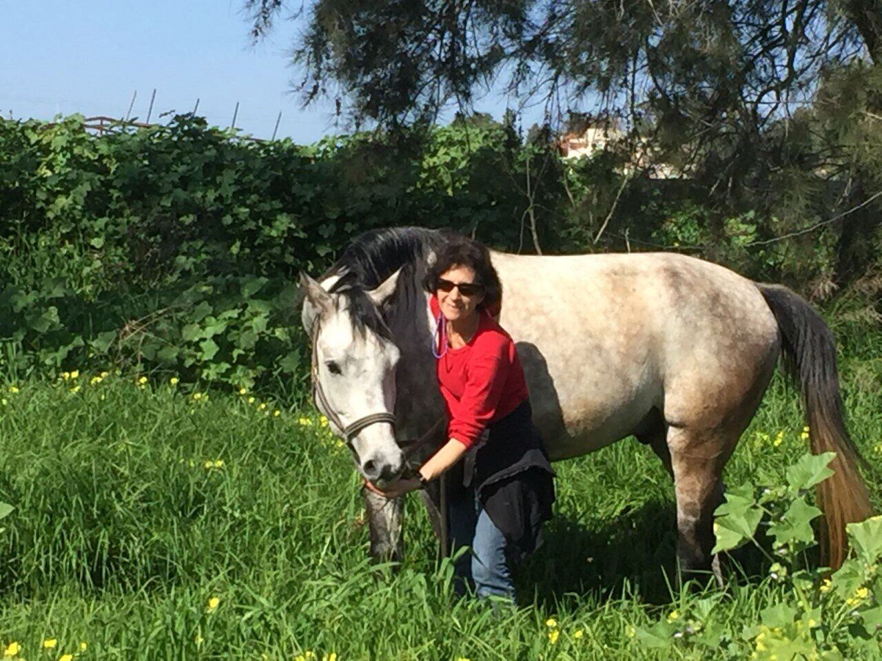 Nikki Kagan HorseSense Israel