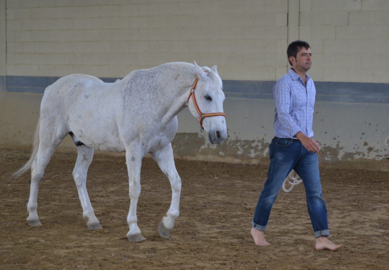 Julio De Villasante, HorseDream Mexico