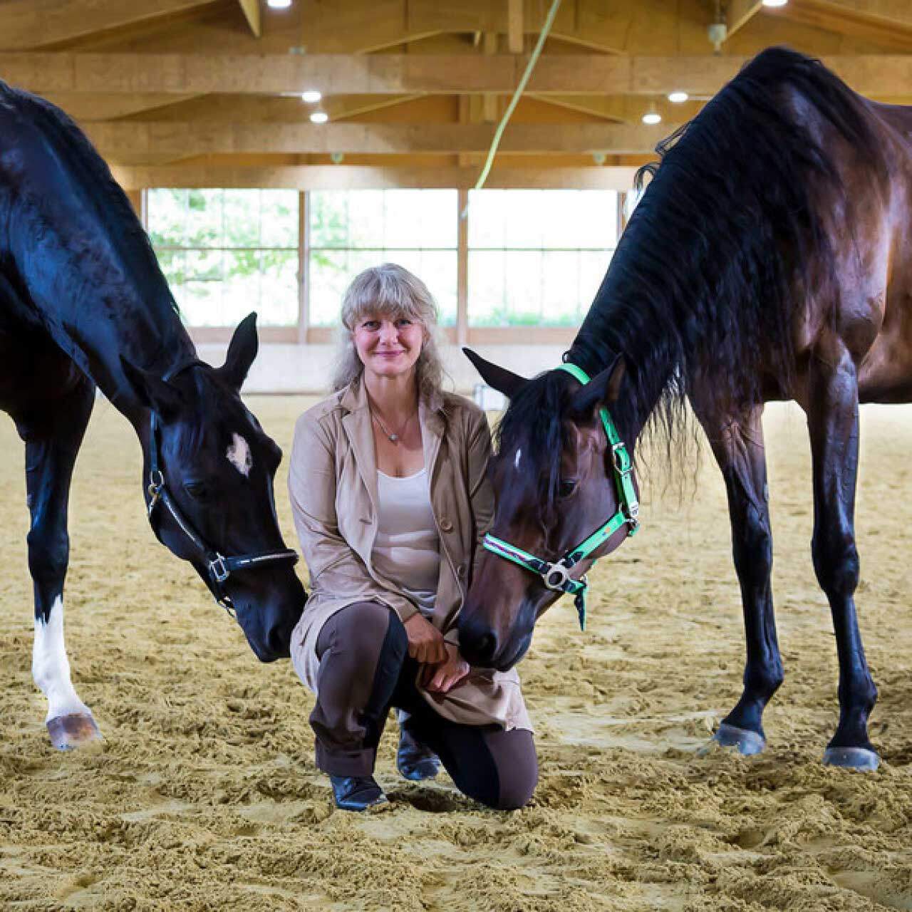 Petra Wolf, HorseDream Nordrhein-Westfalen, Coaching mit Pferden