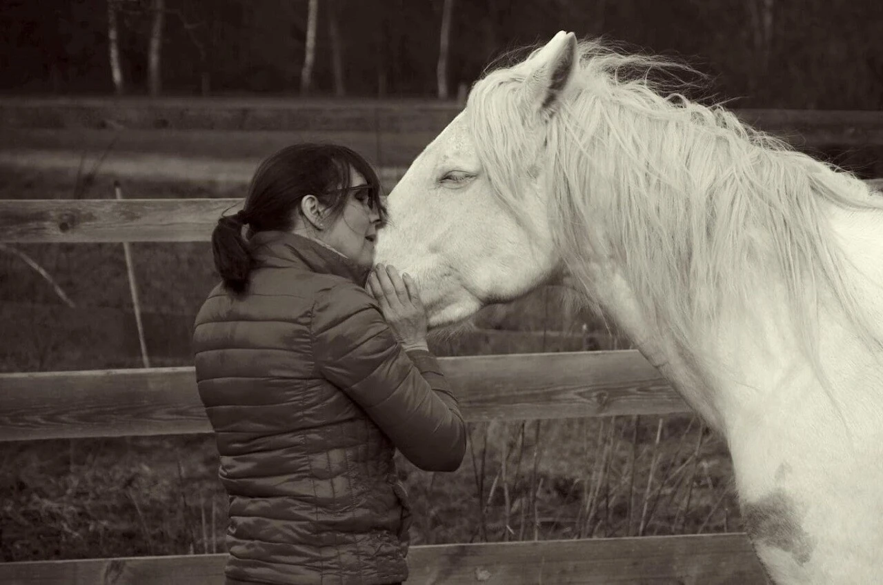 Christiane Schiffmann HorseDream Bayern